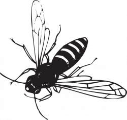 Bee Flying Clip Art at Clker.com - vector clip art online, royalty ...