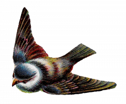 Antique Images: Free Flying Bird Image Digital Corner Design ...