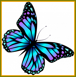 Marvelous Image Result For Cartoon Bugs And Butterflies Farfalle Pic ...