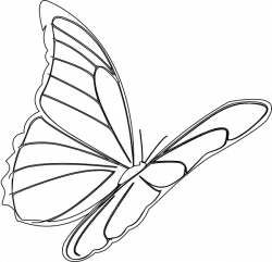 Butterfly Flying Clip Art at Clker.com - vector clip art online ...