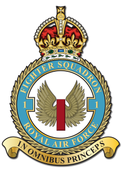 WW2 RAF Squadron Crests | Insignia | Pinterest | British uniforms ...