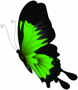Green Flying Butterfly PNG Clip Art | Gallery Yopriceville - High ...