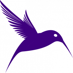 Free Image on Pixabay - Hummingbird, Silhouette, Flying ...