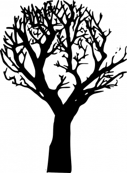Безплатни изображения на Pixabay - Гора, Упадък, Гора Загине, Дърво