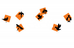 Why MDS? — Montessori Day School of Brooklyn