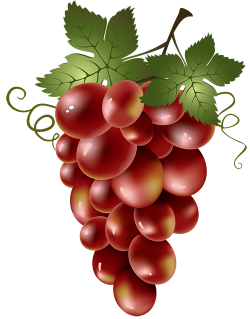 GRAPES * | printables | Pinterest | Decoupage, Clip art and Food clipart