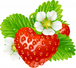 Strawberry Tea Clip art - watercolor berries 2774*2480 transprent ...