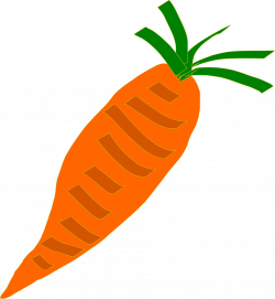 Carrot | Free Stock Photo | Illustration of an orange carrot | # 16511