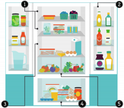 Your Guide to a Healthy Fridge — Columbus Nutrition Company ...