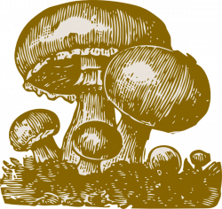 Mushrooms Clip Art at Clker.com - vector clip art online, royalty ...