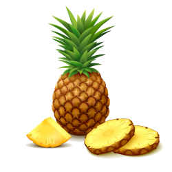 Pineapple Clip art - pineapple 1000*1000 transprent Png Free ...