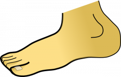 Free Foot Clipart