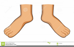 Free Human Foot Clipart | Free Images at Clker.com - vector ...