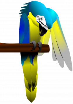 Blue and Yellow Macaw Parrot Icons PNG - Free PNG and Icons Downloads