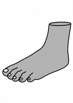 Feet Free Stock Clipart - Stockio.com