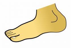 Png Toe Transparent Toe Images - Foot Clipart Free PNG ...