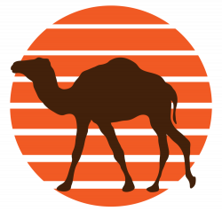 TDC Hikes the Arizona Trail — The Dusty Camel