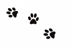 Dog Cat Paw Footprint Clip art - Dog Prints 1980*1440 transprent Png ...