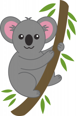 Koala Clipart Simple#3654475
