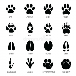 Resultado de imagem para fox footprints | Animal cartoons ...