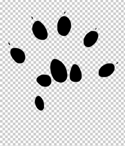 Computer Mouse Paw Footprint PNG, Clipart, Animal, Animals ...