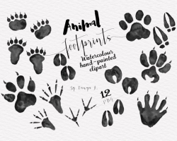 Foot Prints Clipart, Woodland Animals, Commercial Use, Hand ...
