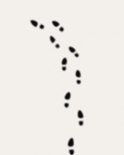 Footprints PNG, SVG Clip art for Web - Download Clip Art ...