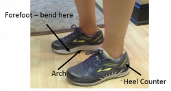 Shoe Basics | Prairie Path Foot & Ankle Clinic