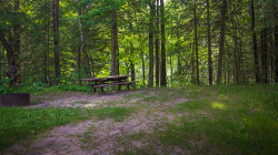 Black River State Forest Campground | Michigan