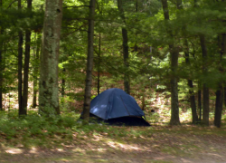 Huron-Manistee National Forests - Camping & Cabins ...