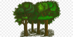 Tree Forest Clip art - Transparent Tree Cliparts png download - 600 ...