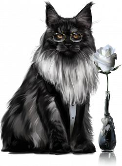 Pin by Lidia on Kot Clipart / Cat Clipart | Pinterest | Cat clipart