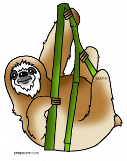 Sloth clipart rainforest snake - Pencil and in color sloth clipart ...