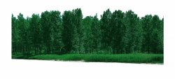 Forest Free Download Png Psd File - Clip Art Library