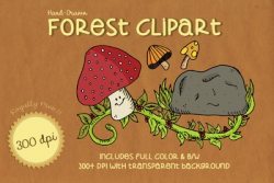 High Quality FOREST FLOOR Clipart
