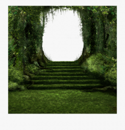 wood #stairs #grass #path #forest #fantasy - Grove #2158789 ...