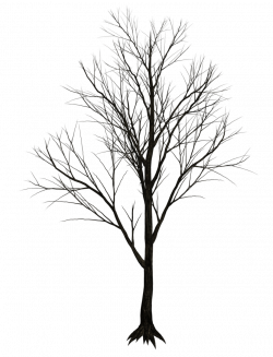 Dark trees png stock 07 by jumpfer stock d6vut39