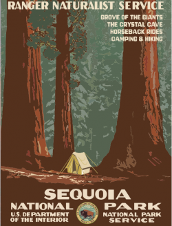 Clipart - Vintage Travel Poster Sequoia National Park