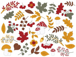 Forest Clipart - Digital Vector Mushrooms, Berries, Leaves, Fall, Autumn  Clip Art
