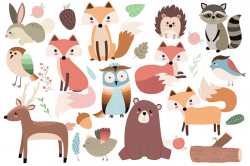 Woodland Forest Animals Clipart Set ~ Illustrations ...