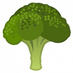 Broccoli Icon | Noto Emoji Food Drink Iconset | Google
