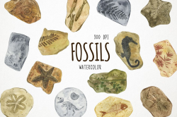 Watercolor Fossils Clipart, Fossils Cli | Design Bundles