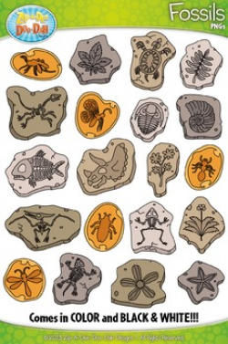 Prehistoric Plant and Animal Fossils Clipart {Zip-A-Dee-Doo-Dah Designs}