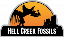 Hell Creek Fossils