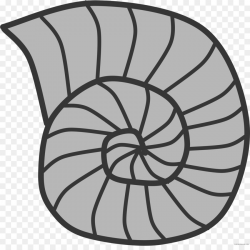 Snail Cartoon clipart - Seashell, Snail, Circle, transparent ...