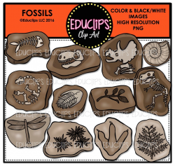 Fossils Clip Art Bundle (Color and B&W)