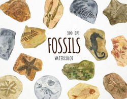 fossil clipart, fossil clip art, dinosaur watercolor clipart, fossils  digital clip art, watercolor fossil clipart, prehistoric clipart