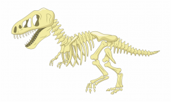 Bone Clip Art Fossil Transprent - Dinosaur Skeleton Clipart ...