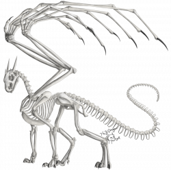 bat skeleton - Google Search | Mini Printies | Pinterest | Skeletons ...