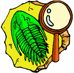 Free Fossil Cliparts, Download Free Clip Art, Free Clip Art ...